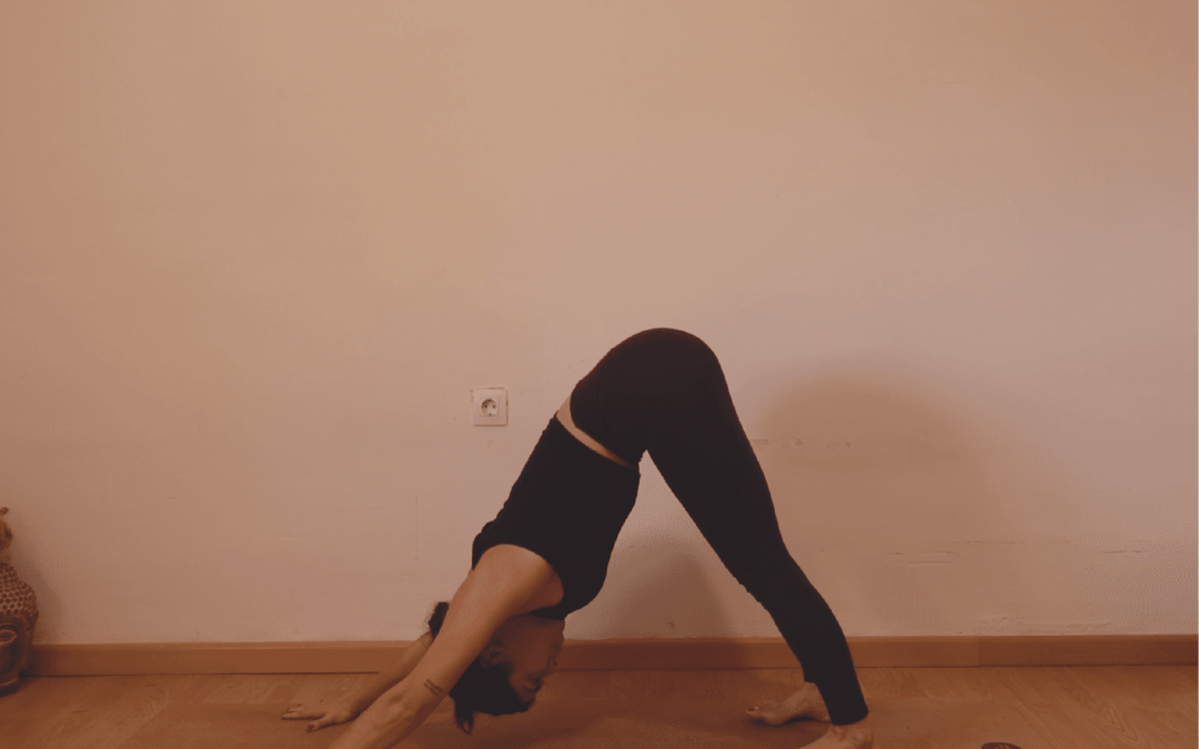 Conexión cuerpo-mente | Vinyasa Yoga Fluido