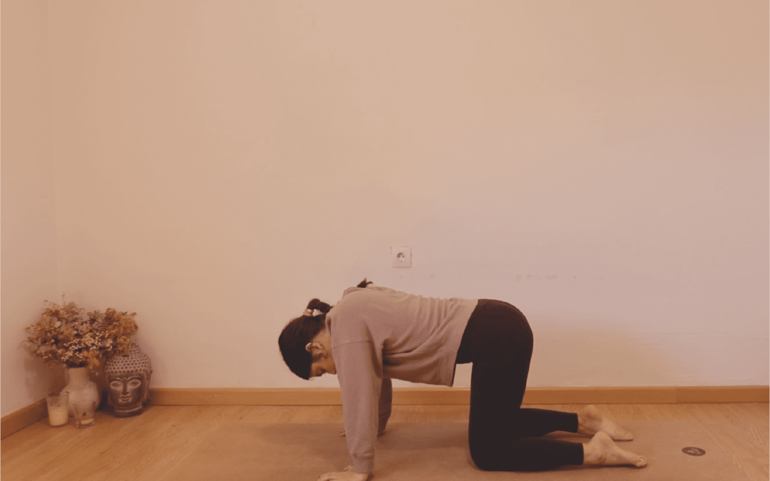 Movilidad y fuerza de hombros | Vinyasa Yoga