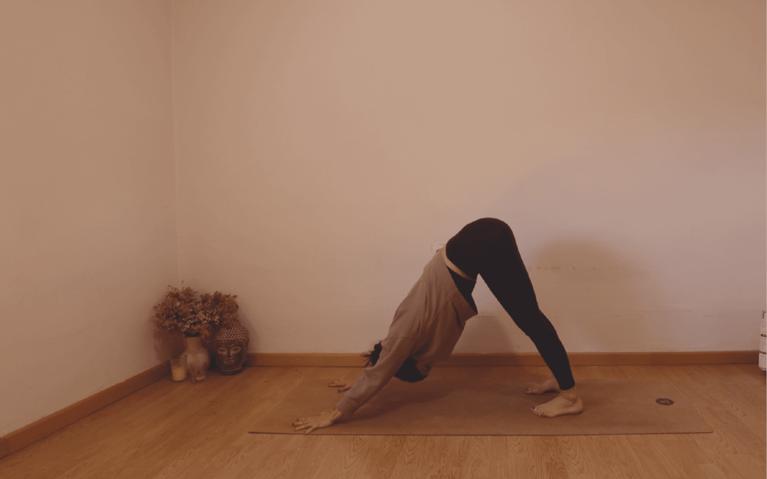 Aprende a diferenciar la “Cobra” (Bhujangasana) y el “Perro boca arriba” (Urdhva Mukha Svanasana)
